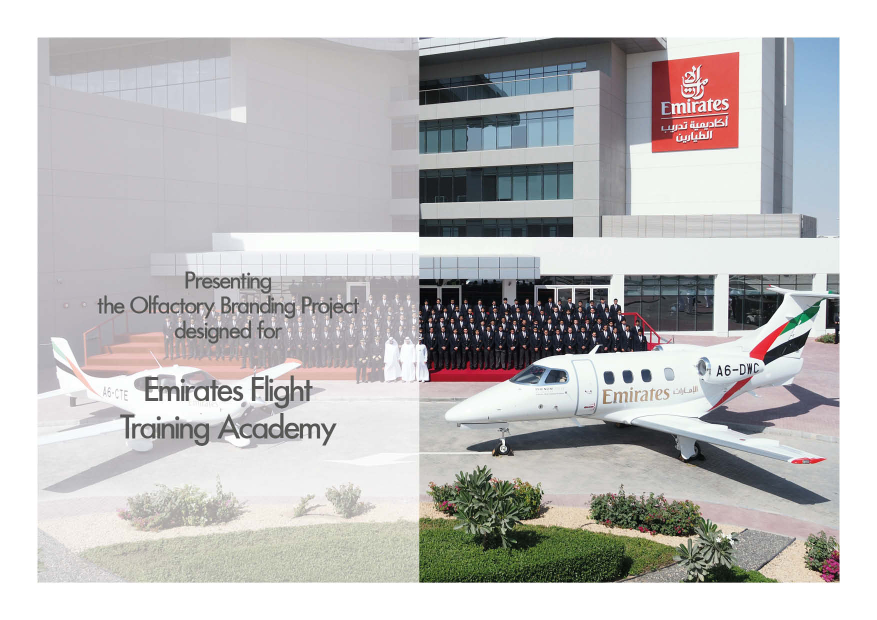 Layton marketing system essay example image